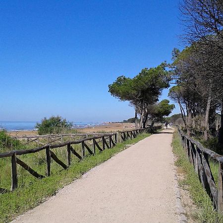 Torcello Apartment Bibione Bagian luar foto